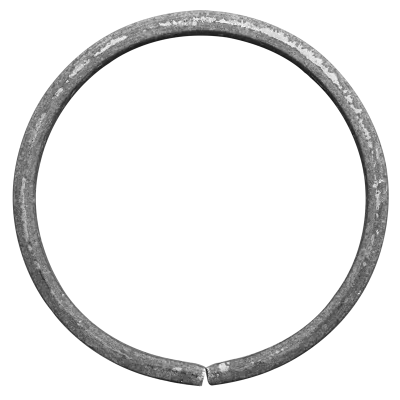 RING 12X6/FI100 (100)