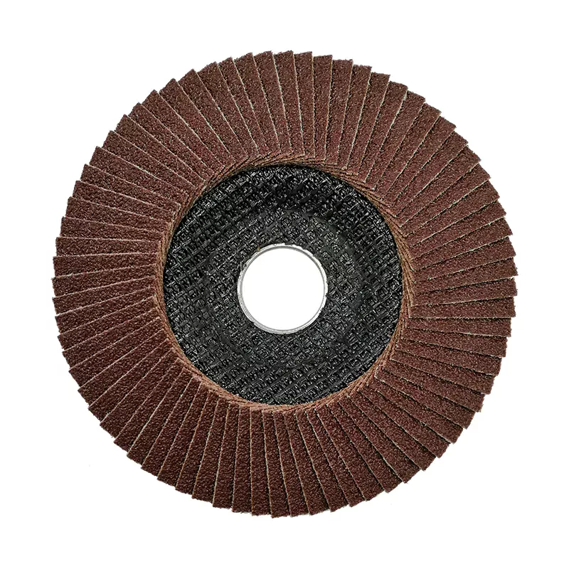 FLAP DISC STEEL T29 125-22 GRAN 60 (20)